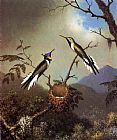 Hummingbirds at Their Nest - Sun Gems by Martin Johnson Heade